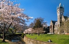 新西兰留学 留学生活 留学 成显教育