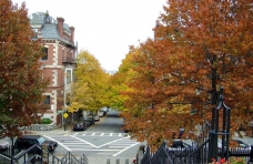 美国 留学 费用 出国 大学 排名