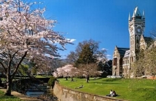 新西兰留学 留学生活 美国 成显网