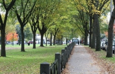 美国 留学 出国 美国大学 名校 留学生